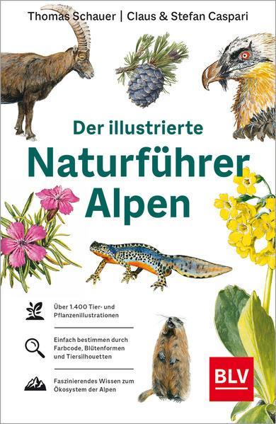 Thomas Schauer, Stefan Caspari: Der illustrierte Naturführer Alpen (German language, 2022)