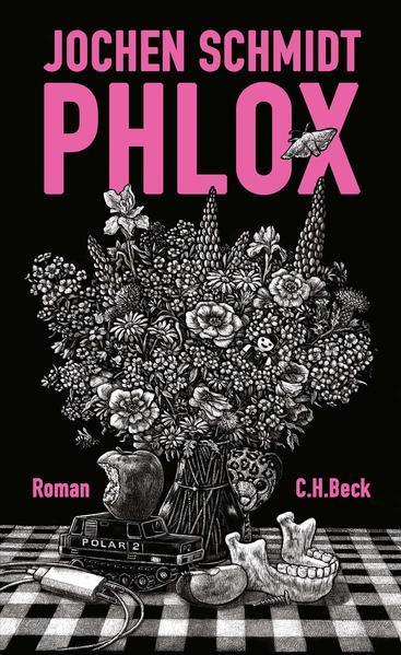 Jochen Schmidt: Phlox (German language, 2022, C.H. Beck)